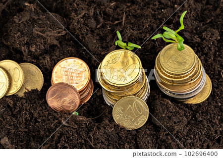 Euro coins and plant sprouts, financial growth concept Euro coins and plant sprouts, financial growth concept 102696400