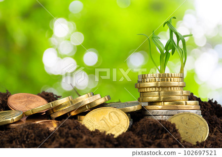 Euro coins and plant sprouts, financial growth concept 102697521