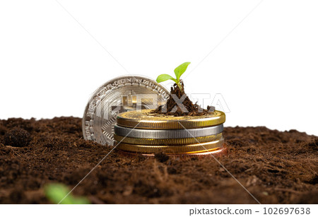 Sprout plant and bitcoin, growth of bitcoin crypto currency Sprout plant and bitcoin, growth of bitcoin crypto currency 102697638
