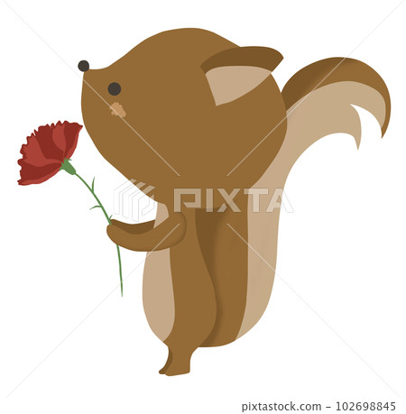 Illustration of squirrel with carnation Illustration of squirrel with carnation 102698845
