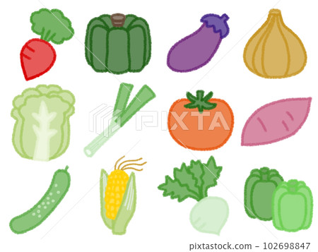 Vegetable material set G 102698847