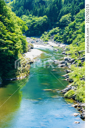 吉野川（上游） 102700253