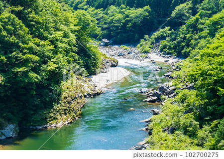 Yoshino River (upstream) Yoshino River (upstream) 102700275