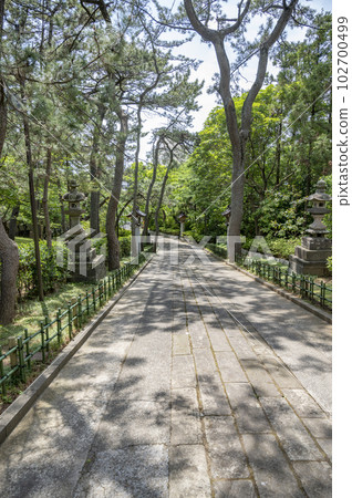 Sage Sengen Shrine Approach Sage Sengen Shrine Approach 102700499