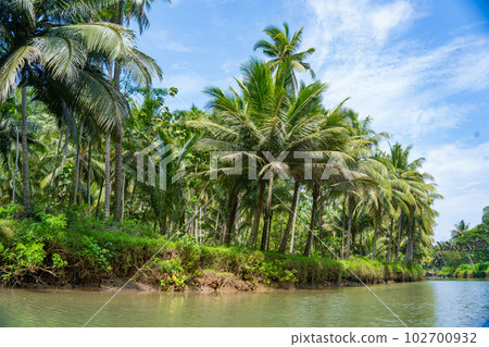 Cruising on the beautiful and calm river with trees at Kali Cokel, Pacitan, Indonesia. Cruising on the beautiful and calm river with trees at Kali Cokel, Pacitan, Indonesia. 102700932