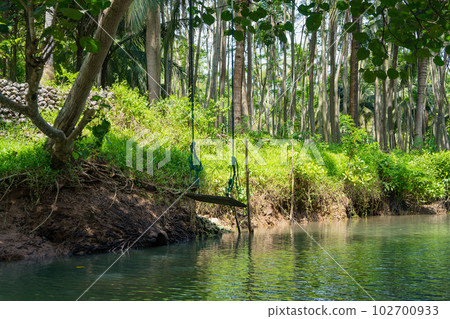 Cruising on the beautiful and calm river with trees at Kali Cokel, Pacitan, Indonesia. 102700933