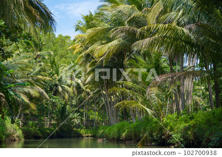 Cruising on the beautiful and calm river with trees at Kali Cokel, Pacitan, Indonesia. Cruising on the beautiful and calm river with trees at Kali Cokel, Pacitan, Indonesia. 102700938