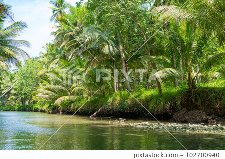 Cruising on the beautiful and calm river with trees at Kali Cokel, Pacitan, Indonesia. 102700940