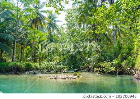 Cruising on the beautiful and calm river with trees at Kali Cokel, Pacitan, Indonesia. 102700943