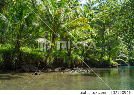 Cruising on the beautiful and calm river with trees at Kali Cokel, Pacitan, Indonesia. 102700946