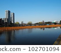 晴天的上野不忍池 102701094