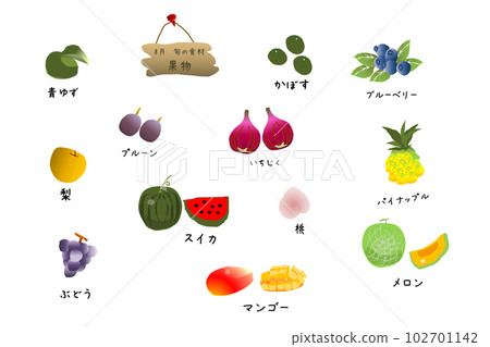 Seasonal fruits (August) cute illustration set Seasonal fruits (August) cute illustration set 102701142