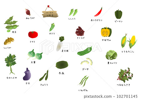 時令蔬菜（八月）可愛插畫集 102701145