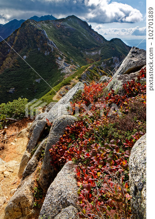 View of autumn leaves and Mt. Kumazawa on the main ridgeline of the Central Alps View of autumn leaves and Mt. Kumazawa on the main ridgeline of the Central Alps 102701889
