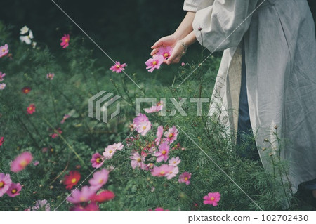 A woman scooping cosmos 102702430