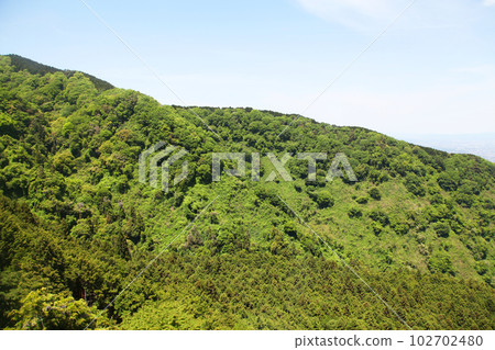 Yamato Katsuragiyama (Mr. Yamato Katsuragi) 102702480