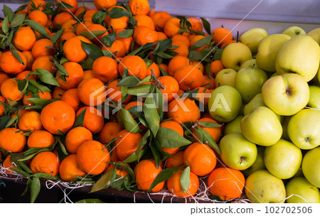 Picture of fresh seasonal fruits on counter in food market 102702506