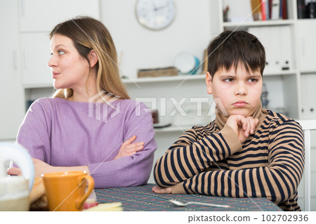 Sad son and unhappy mom sitting after quarrel in home 102702936