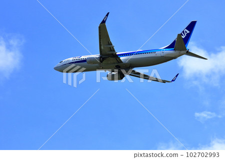 大阪國際機場客機離開稻川堤防 大阪國際機場客機離開稻川堤防 102702993