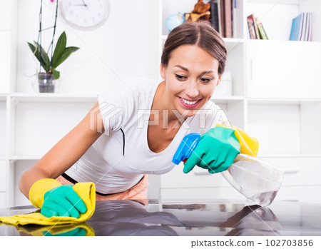 Woman wiping surfaces in apartment 102703856