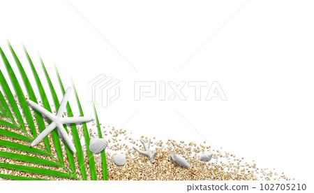 白色海星和貝殼和棕櫚葉，海灘圖像切口背景 102705210