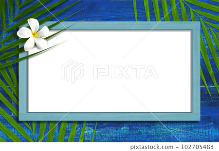 Brilliant blue wall and whiteboard, with coconut leaves and plumeria Brilliant blue wall and whiteboard, with coconut leaves and plumeria 102705483