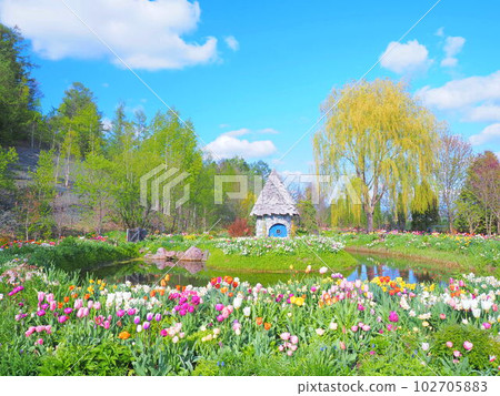 Amazing view of Hokkaido Ueno Farm English Garden Amazing view of Hokkaido Ueno Farm English Garden 102705883