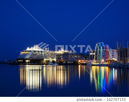 靜岡縣：遊輪停靠時的港口夜景 102707155