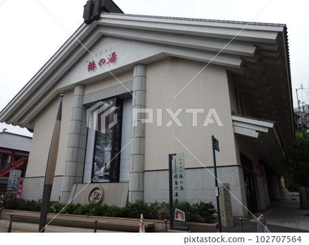 Camellia hot water Camellia hot water 102707564