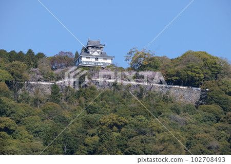 Iwakuni Castle and cherry blossoms in spring 102708493