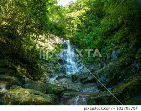 Morokubozawa Otaki的新綠景觀 Morokubozawa Otaki的新綠景觀 102708704