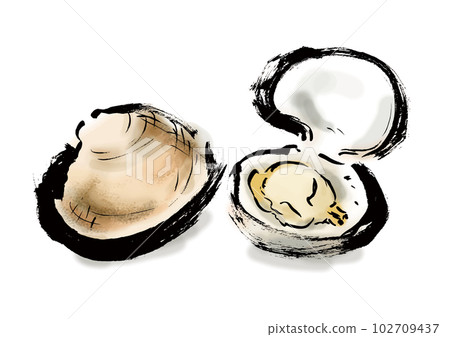Japanese style hand-drawn illustration of clams Japanese style hand-drawn illustration of clams 102709437