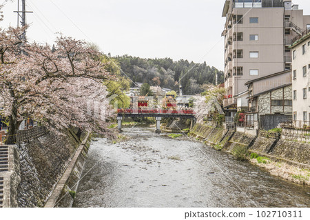 Spring Takayama Festival (2023) 102710311