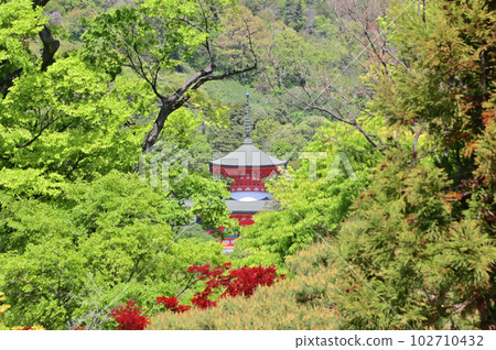 Zenkoji Unjoden charnel hall distant view 102710432