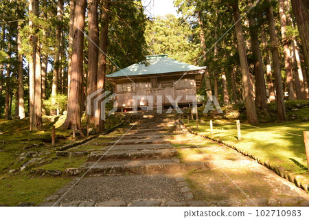 Mossy Heisenji Hakusan Shrine 102710983