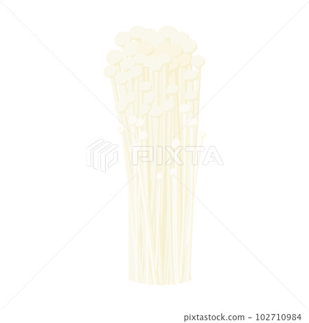 Vector illustration of enoki mushrooms. 102710984