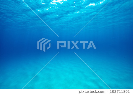 Healing underwater world 102711801
