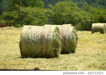hay roll 102712521
