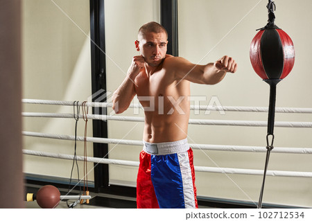 young boxer trains in the gym 102712534