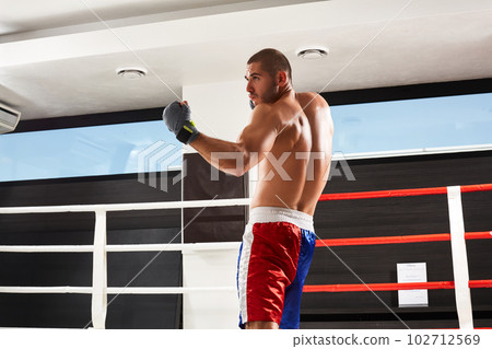 Boxer in blue gloves warming up in the gym Boxer in blue gloves warming up in the gym 102712569