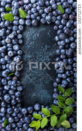 Ripe and juicy fresh picked blueberries closeup. 102712713