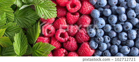 Juicy  blueberries and raspberries . 102712721