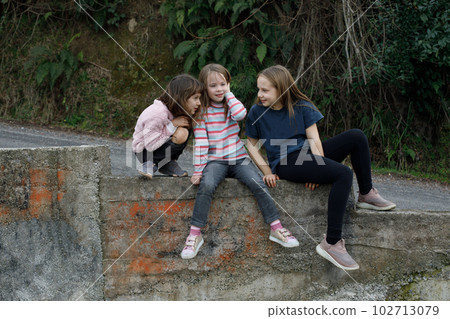 Joyful children playing together outdoors. Young girls chatting 102713079