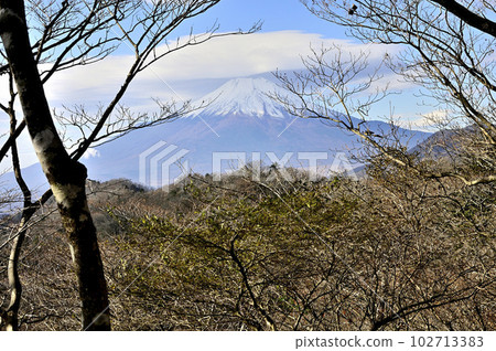 Tanzawa 山脈的 Kaso 邊界山脊從 Toriya no Maru 看被雲覆蓋的富士山 102713383