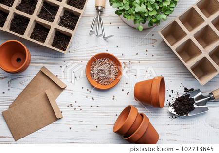 Gardening concept, planting at home 102713645