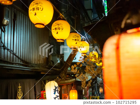 Shinjuku Memory Alley Shinjuku Memory Alley 102715295