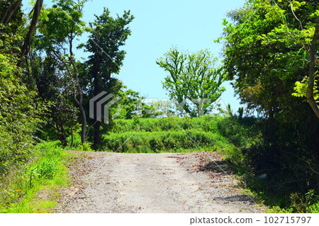 【國家指定特別史蹟】岩橋千塚古墳 【國家指定特別史蹟】岩橋千塚古墳 102715797