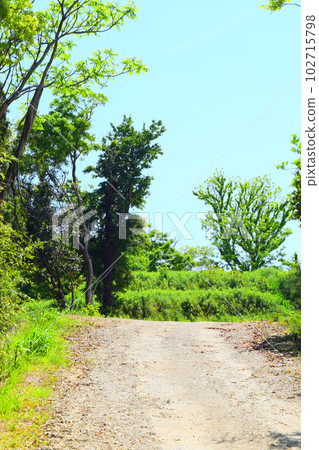 【國家指定特別史蹟】岩橋千塚古墳 102715798