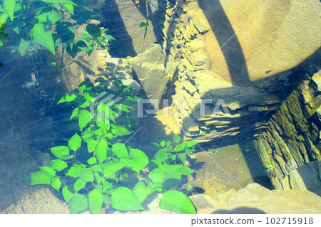 [Nationally Designated Special Historic Site] Iwahashi Senzuka Burial Mounds 102715918