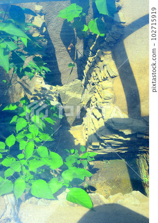 【國家指定特別史蹟】岩橋千塚古墳 102715919